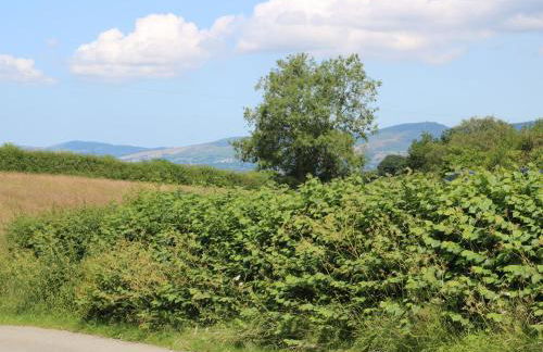 Bodlywydd Fawr - Annexe - Photo 28