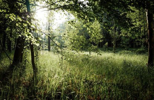 Feriendomizil Alter Garten - Photo 23