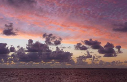 Friesenhof - Foto 34