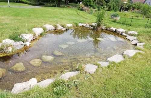 Ruhige Ferienwohnung im Gutshaus - Foto 12