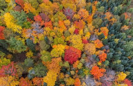 Hike the Presidential's & Relax in the Hot tub #6 - Foto 37