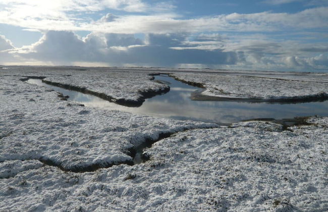 Holiday Apartment Beach View - Foto 10