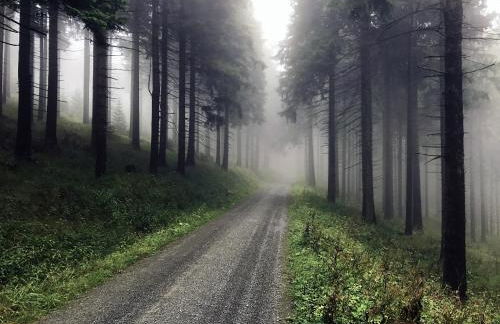 Chalet & Apart Fichtelberger - Blick - Foto 72