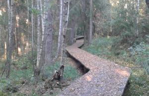 Na Skraju Szlaków - Foto 42