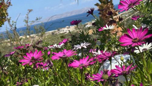 Roboboss Garden Rooms - Foto 4