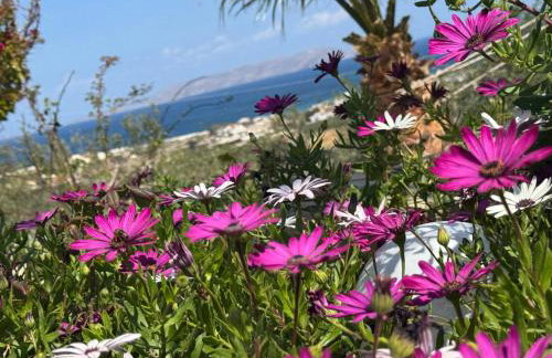 Roboboss Garden Rooms - Foto 4