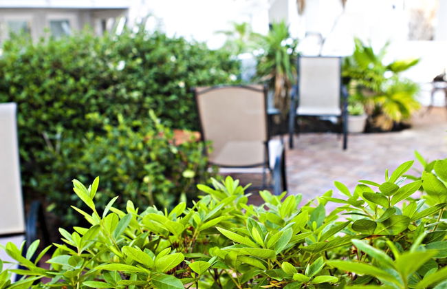 DeSoto Beach Gardens - Foto 28