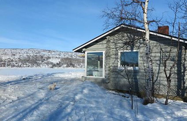 Karetörmä - Foto 36