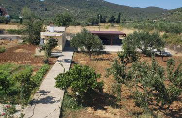 Apartmani Čiklić - Photo 50