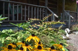 Restored1850s log cabin, with gazebo and gardens! 1 mile to downtown Weaverville - Foto 20