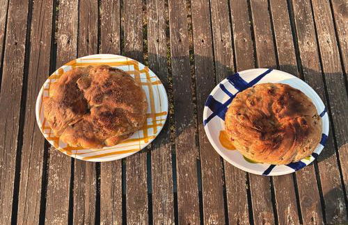 Domus Agricolae Corallina - Foto 25