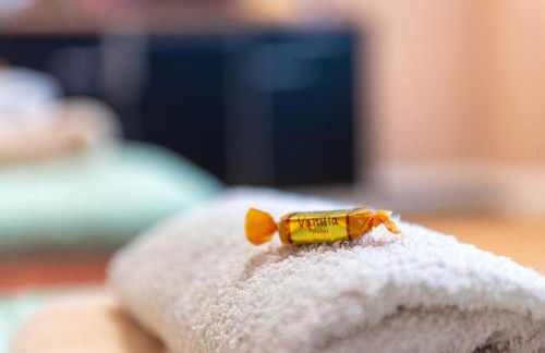 Top-moderne Ferienwohnung und Apartments auf früherem wunderschönen Bauernhof im Elbe-Elster-Kreis in Brandenburg bei Herzberg-Elster, Schönewalde, Holzdorf - Foto 46