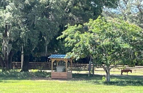 Double D Ranch - Foto 11