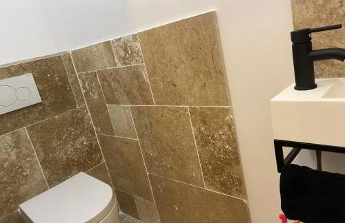 demeure de charme, piscine sauna billard pétanque - Foto 9