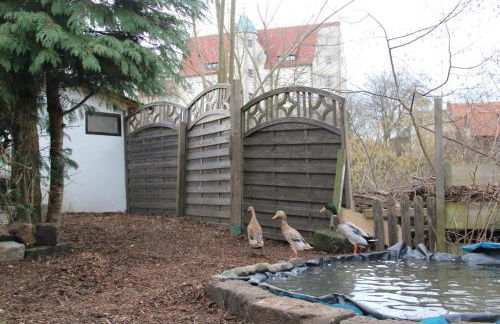 Ferienhaus Puttrich - Foto 6