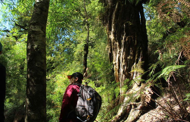 Hiking in Oncol Park - Photo 6