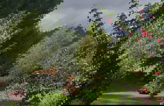 Inviting 10-bed Villa in Urubamba, Cusco, Peru - Foto 22