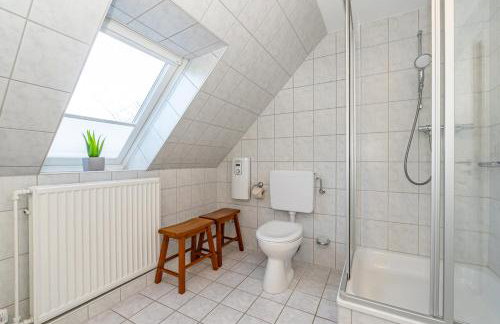 Lachmöwe - Foto 25