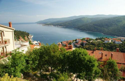 Villa with private pool, garden and seaview for max 11 Pers near Labin 5207-1 - Foto 35