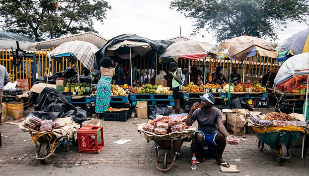 El mercado Single Quarters