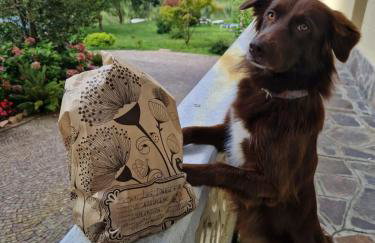 Eden Lake "L'Angolino di GIULIO" - Foto 23