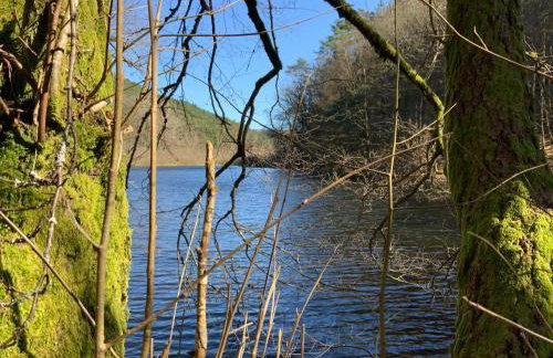 Hen-Coop Inn Appartement mit zwei Schlafzimmern & Netflix - Photo 29