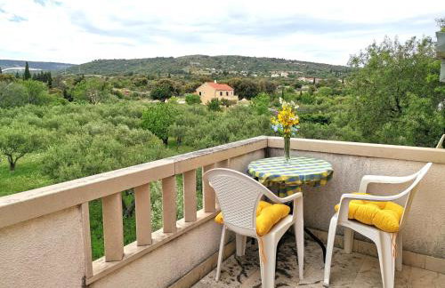 Luxury villa with a swimming pool Skrip, Brac - 17350 - Foto 32