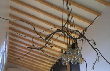 Horta dos Cedros - Foto 62