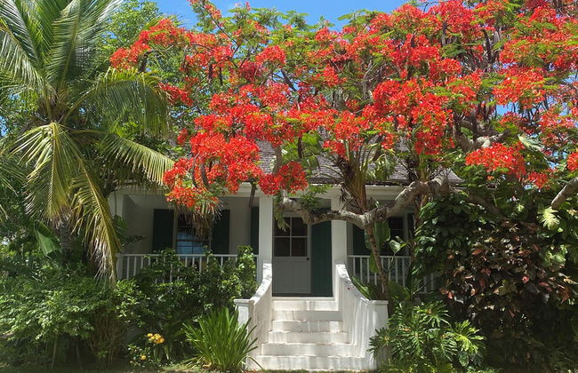 Pink Sands Paradise: Luxury Estate With Pool - Foto 9