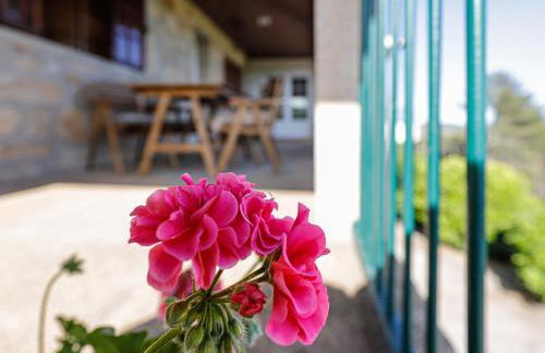 Quinta Soutelinho - Foto 47