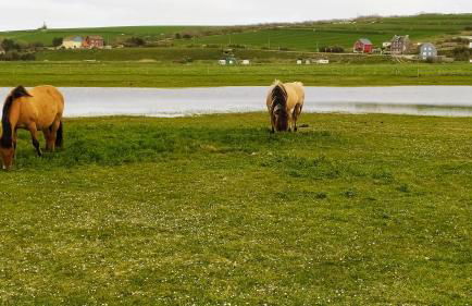 Le clapotis de l'Ô, calme, balcon sur la mer, à 2 h de Paris - Foto 54