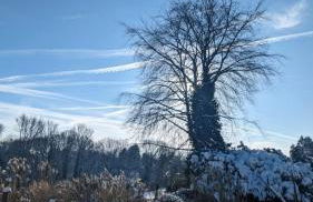 Gartenblick - Foto 46