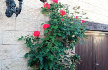 CASA TURÍSTICA Villa Carmen, CON AMPLIO JARDIN QUE INCLUYE BARBACOA, 2 PORCHES, PARKING PRIVADO Y PISCINA - Foto 52