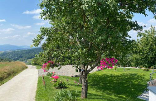 Apartamenty Emerald Hills - Foto 21