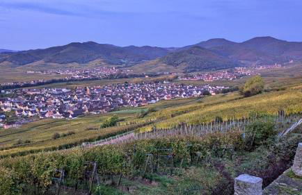 Au nid de cigo - Foto 25