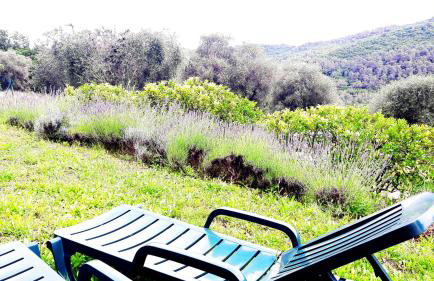 2 Bed Apartment Sleeps 6 - Pets Ok - Free Parking - Foto 13