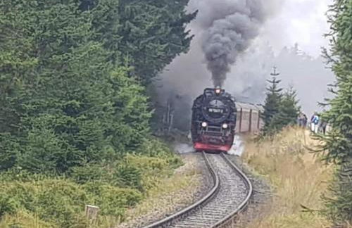 One-bedroom apartment - Foto 17