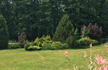 Dom w Sąpach - Foto 18