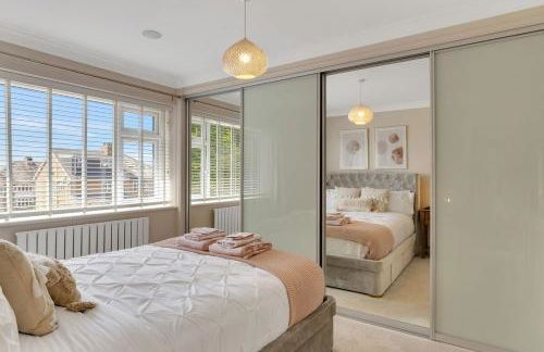 The Squirrels - Foto 10