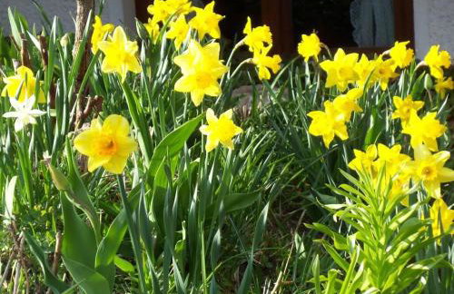 Holiday Apartment Schupp - Foto 35