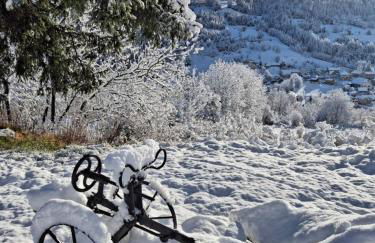 Gîte du Faraud - Photo 3