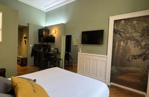 Studio de charme rénové en centre-ville, animaux admis - FR-1-555-123 - Foto 7