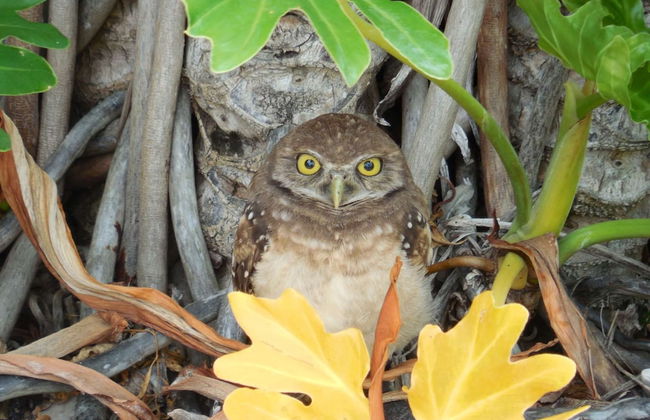 2291 Granby Dr - Foto 34