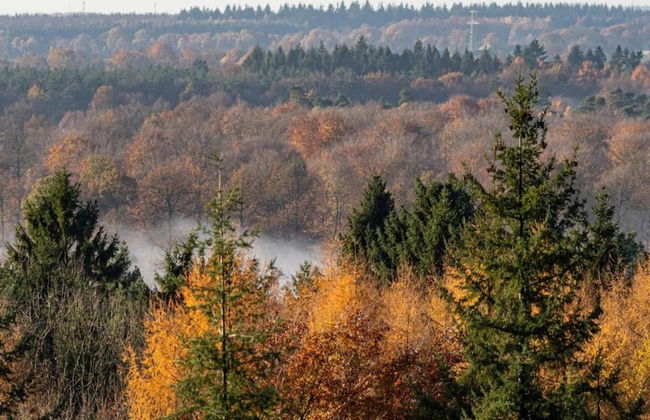 Stay at This Beautiful Accommodation in De Kiel - Photo 27