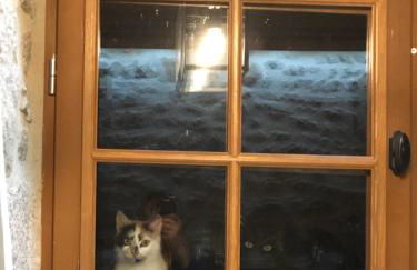 La petite Maison du Bonheur & Jacuzzi - Photo 8