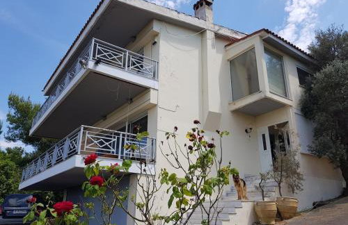 Beachfront House Villa 35min from Athens - Foto 16