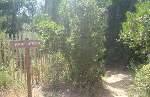 Les Soleiades - Foto 24