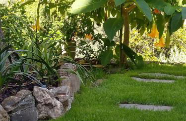 VILLINO BRUNETTO azienda agrituristica - Foto 26