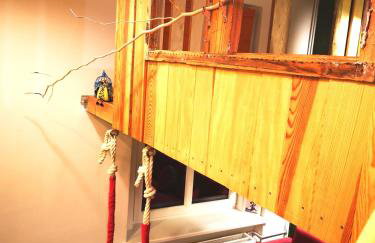 Kot Pocztowy - Foto 31