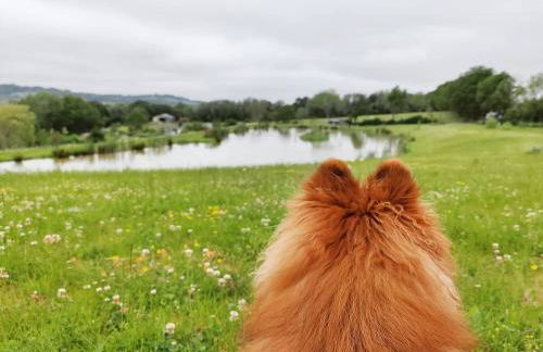 Snug & Secluded Lakeside Shepherds Hut 'Carp' - Foto 39